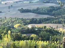 Todi