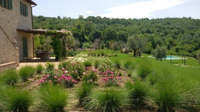 Todi