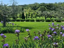 Todi Garden