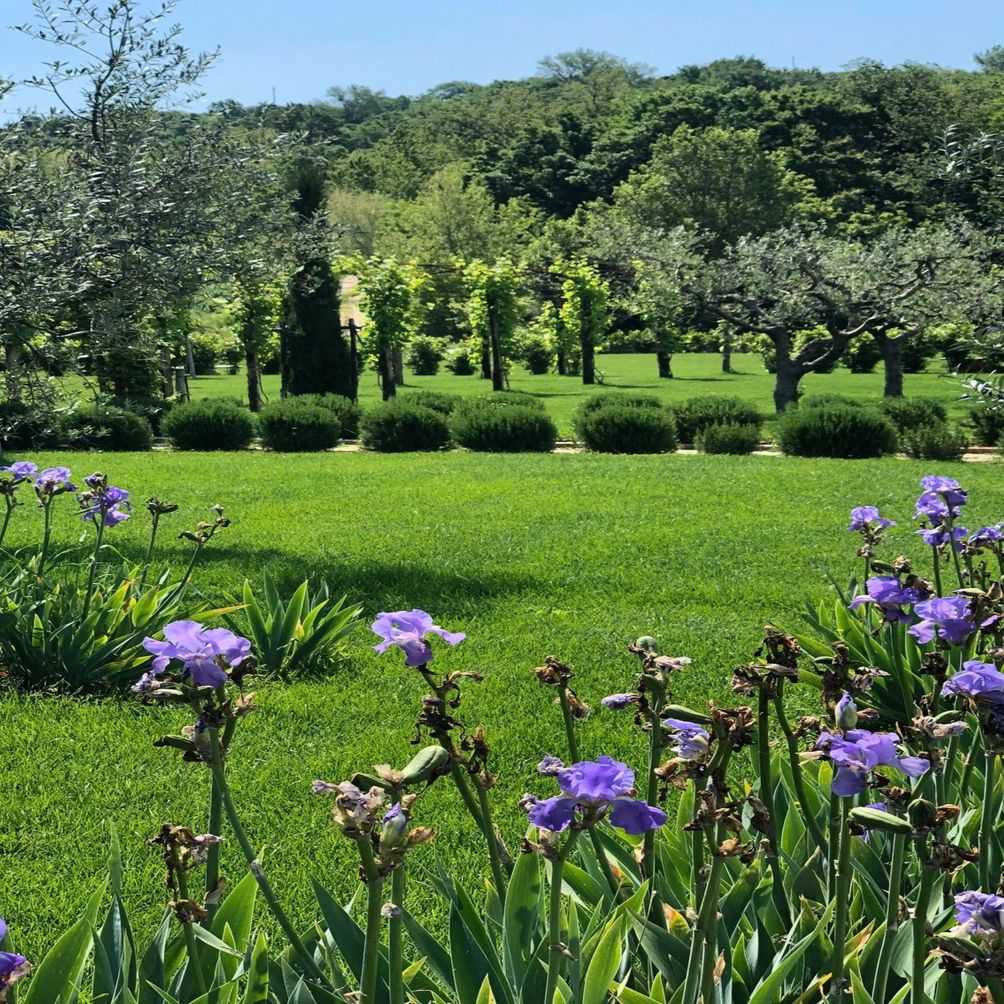 Todi Garden