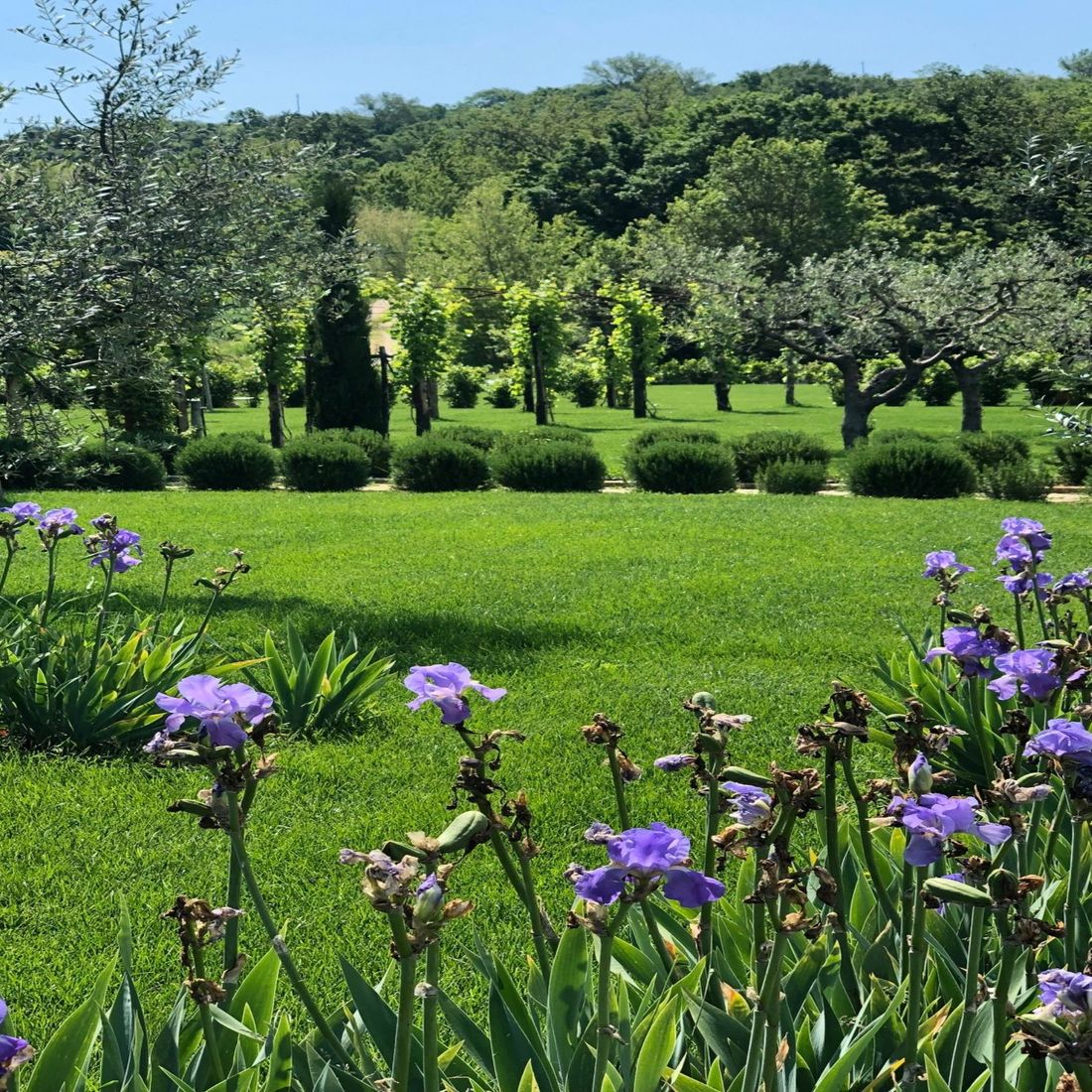 Todi Garden