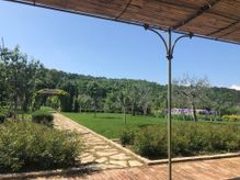 Todi Garden