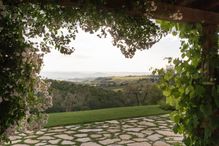Todi