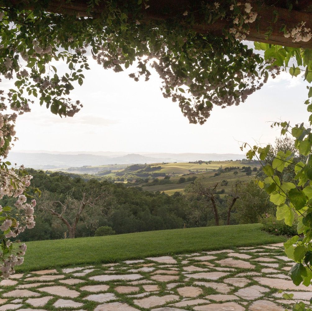 Todi