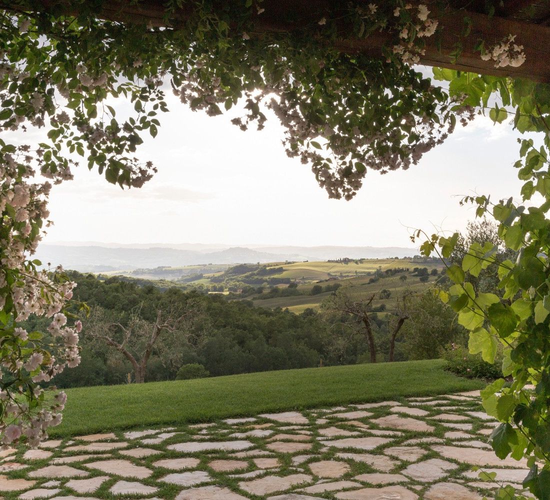 Todi