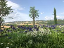 Todi garden